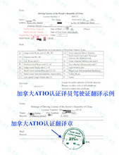 将图片加载到图库查看器,加拿大安省ATIO认证驾照+驾临认证翻译 + 邮寄