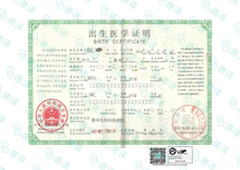 将图片加载到图库查看器,澳洲 NAATI 中国出生证明翻译