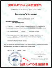 将图片加载到图库查看器，加拿大 安省ATIO 纳税所得记录翻译
