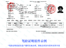 将图片加载到图库查看器，加拿大安省ATIO认证驾照+驾临认证翻译 + 邮寄
