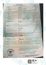 将图片加载到图库查看器，墨尔本本地翻译 | NAATI认证 | 可自取
