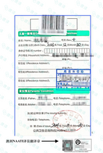 将图片加载到图库查看器，澳洲 NAATI 疫苗接种翻译服务
