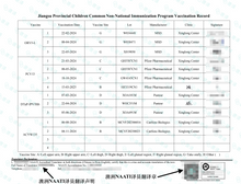 将图片加载到图库查看器，澳洲 NAATI 疫苗接种翻译服务

